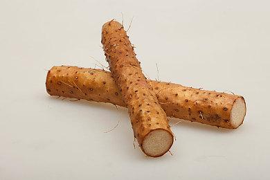 《神剑少女战记》2023冬季独立游戏展预告片分享